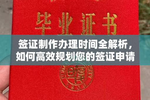 新余签证制作办理时间全解析，如何高效规划您的签证申请流程