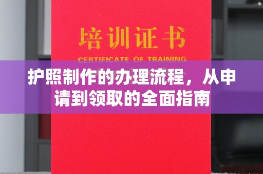 新余护照制作的办理流程，从申请到领取的全面指南
