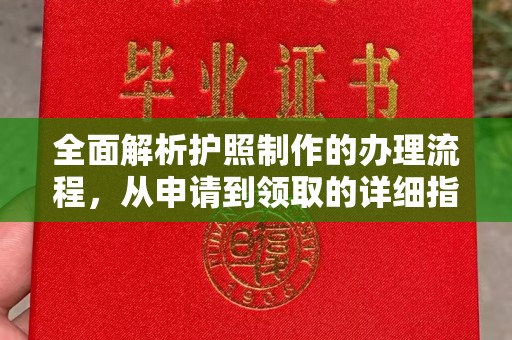 新余全面解析护照制作的办理流程，从申请到领取的详细指南