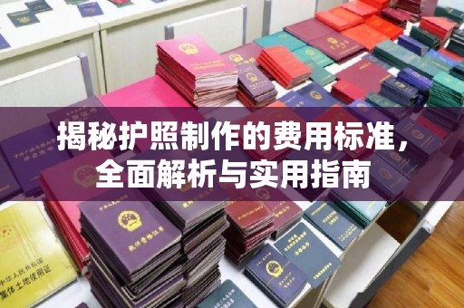 新余揭秘护照制作的费用标准，全面解析与实用指南