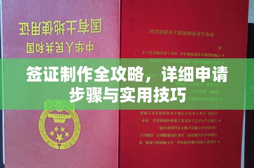 新余签证制作全攻略，详细申请步骤与实用技巧